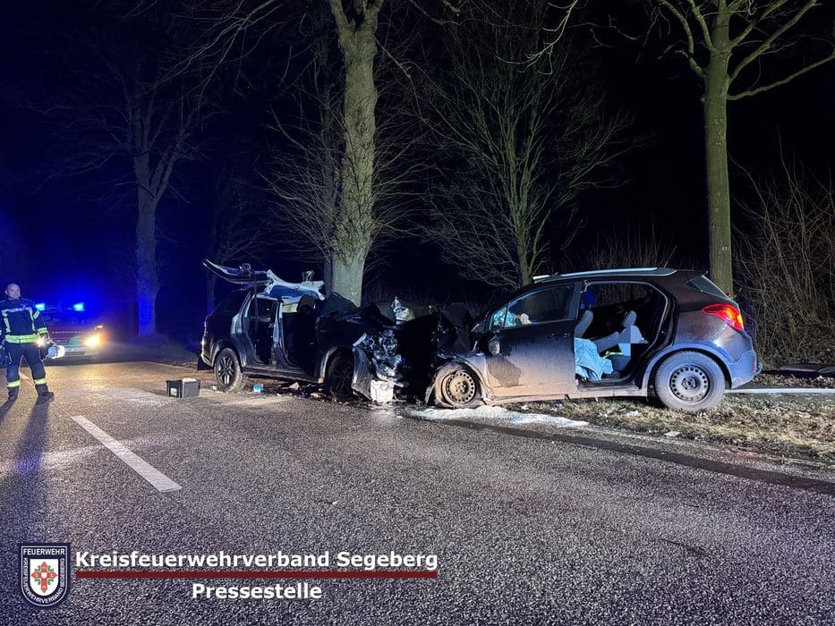 Einsatz: Schwerer Verkehrsunfall in Klein Rönnau, Foto 5