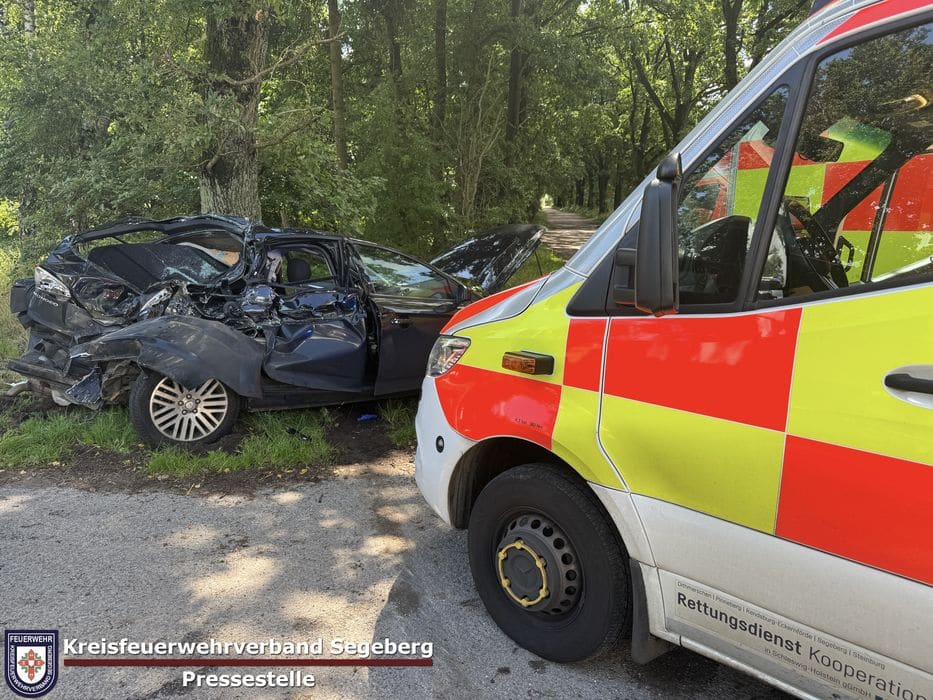 Einsatz: Schwerer Verkehrsunfall mit LKW und zwei PKW auf der B206 Höhe Bad Bramstedt, Foto 3