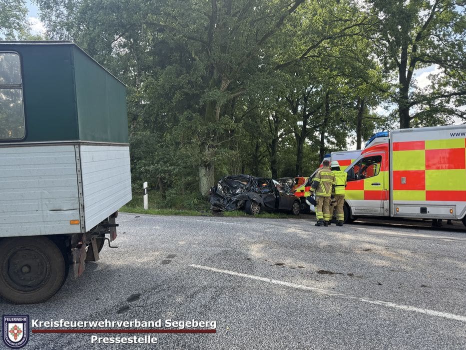Einsatz: Schwerer Verkehrsunfall mit LKW und zwei PKW auf der B206 Höhe Bad Bramstedt, Foto 5