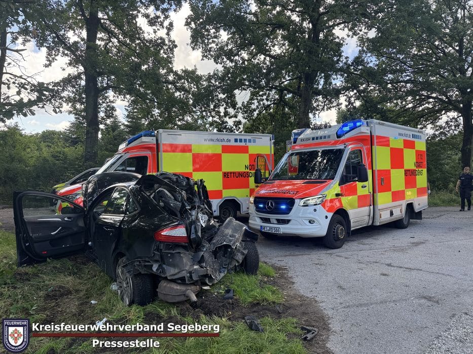 Einsatz: Schwerer Verkehrsunfall mit LKW und zwei PKW auf der B206 Höhe Bad Bramstedt, Foto 6
