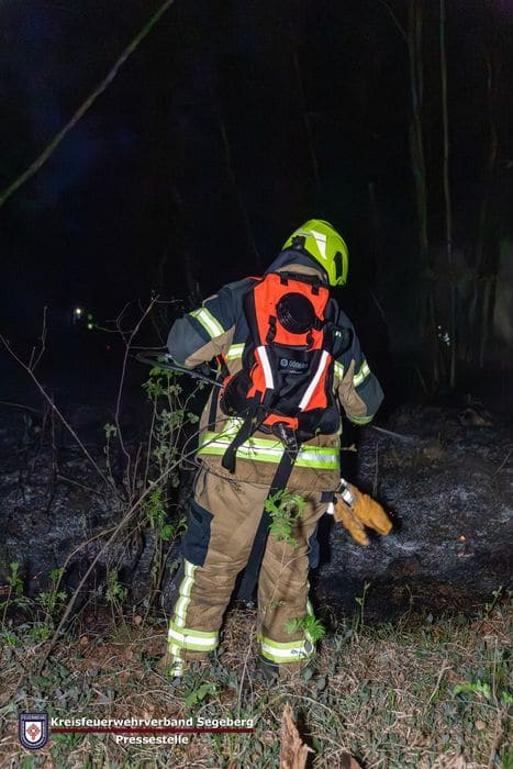 Einsatz: Einsatzkräfte bei größerem Wald- und Moorbrand gefordert, Foto 1