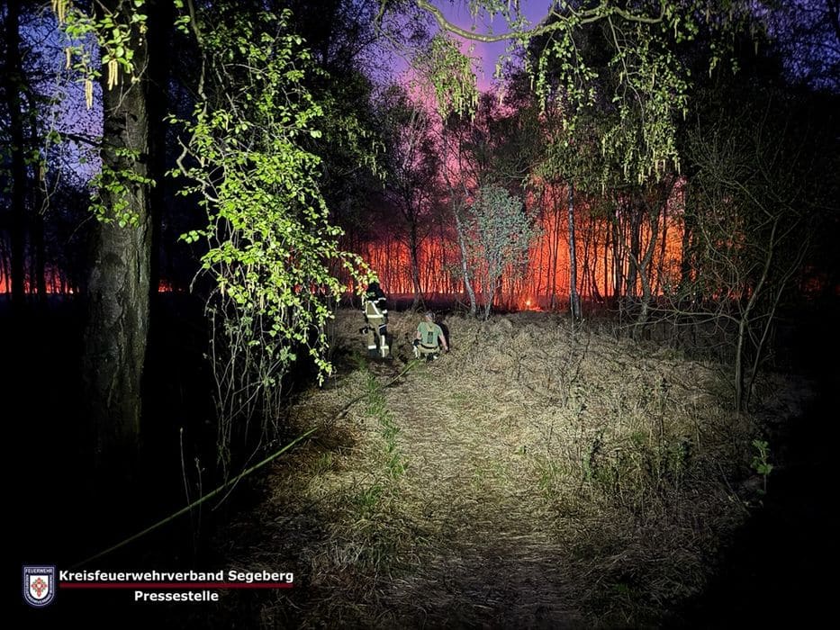 Einsatz: Einsatzkräfte bei größerem Wald- und Moorbrand gefordert, Foto 2