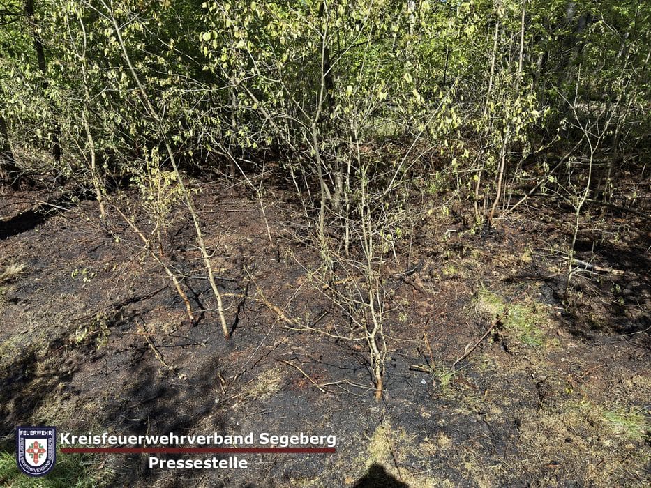 Einsatz: Vegetationsbrand in Kaltenkirchen, Foto 1