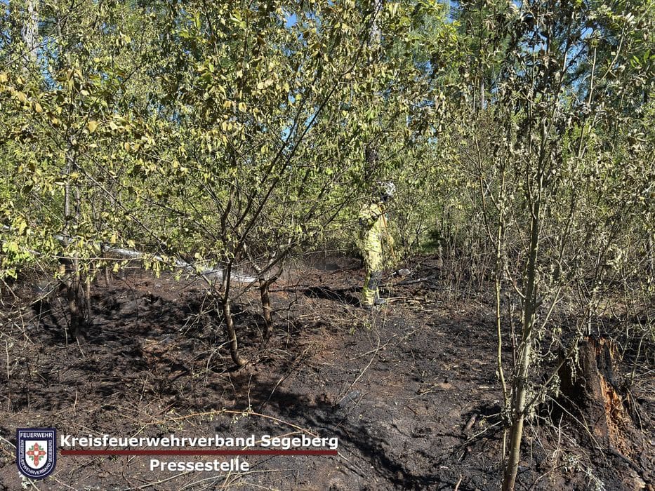 Einsatz: Vegetationsbrand in Kaltenkirchen, Foto 2