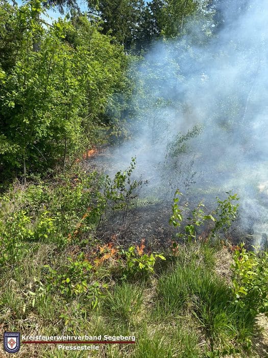 Einsatz: Vegetationsbrand in Kaltenkirchen, Foto 3