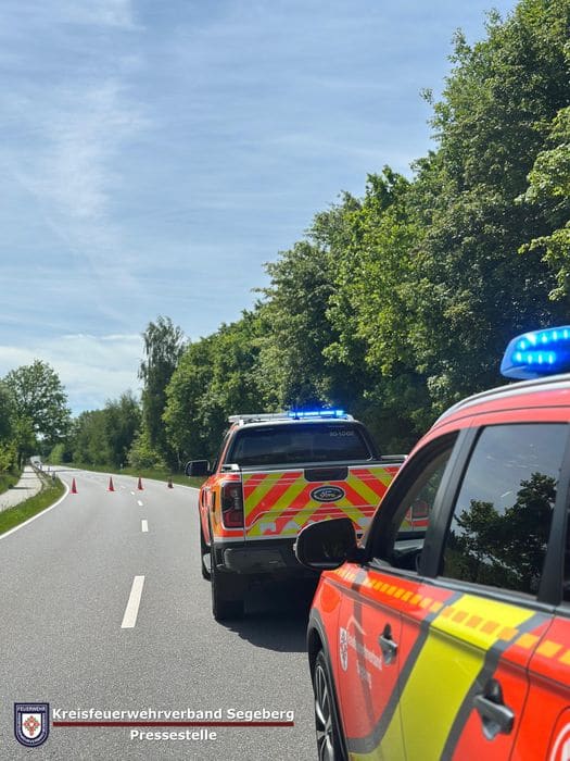 Einsatz: Vegetationsbrand in Kaltenkirchen, Foto 4